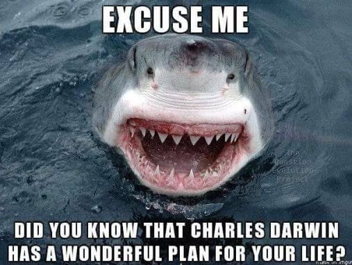 This is a joke meme to make you laugh. It has a shark coming out of the ocean with his mouth open saying: excuse me, did you know that Charles Darwin has a wonderful plan for your life?