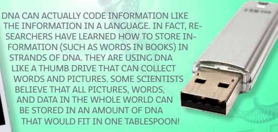 This image shows a flash drive AKA thumb drive. And talks about how DNA can hold information and that the DNA is so complex and it's data is so compressed, that the information that is contained in the whole world including the internet would fit in DNA that fits in a tablespoon.