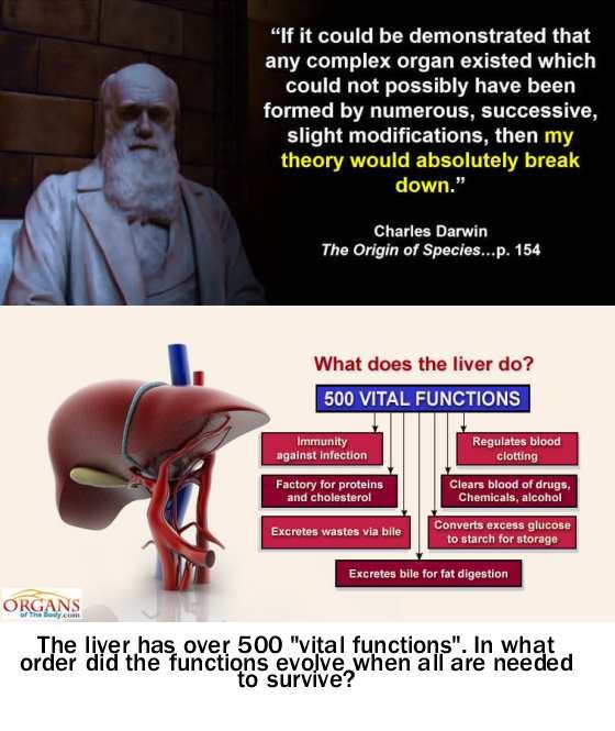 Irreducible complexity.