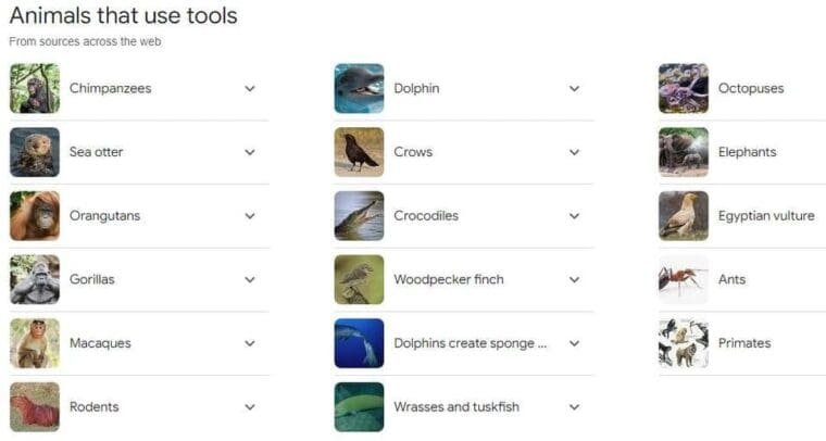 Animals using tools.