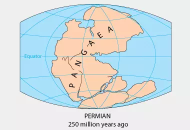 This is an image that shows the Pangea that supposedly happened 250 million years ago. This is where all the continents were basically together.