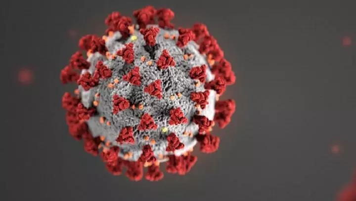 This is just a image of a human virus. It's a sphere with several nodules poking off of it. It looks computer generated but I'm sure the real thing is not much different.